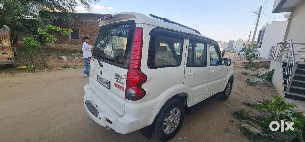 Scokripo 2014 Sale