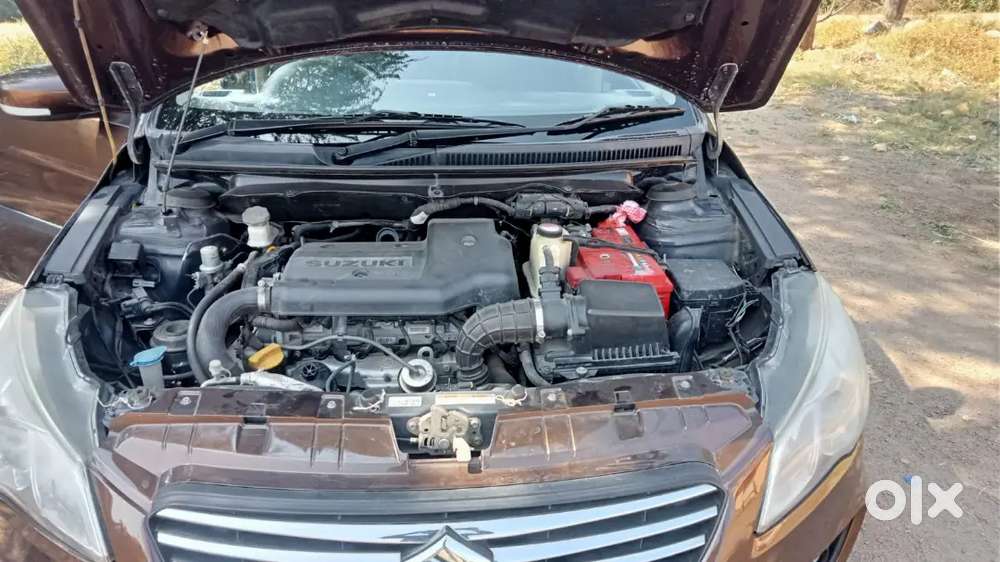 Maruti Suzuki Ciaz Vdi 2016 Diesel