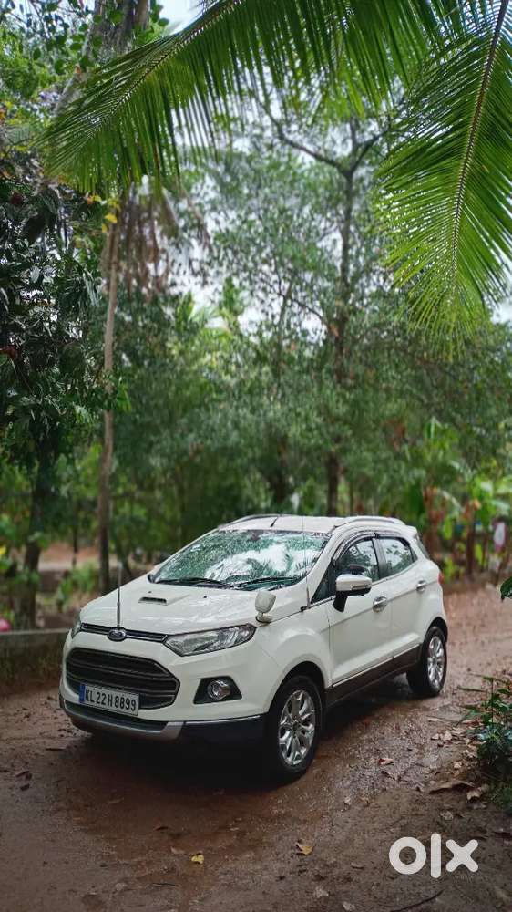 Ford Ecosport 2016 Petrol Well Maintained