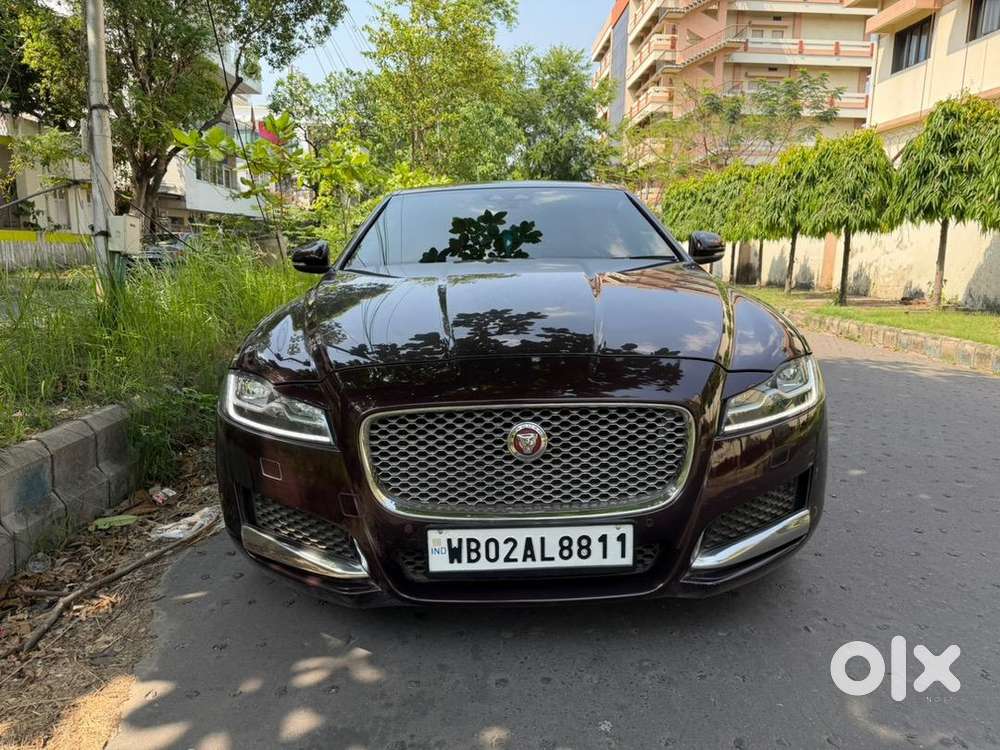 Jaguar In Excellent Condition