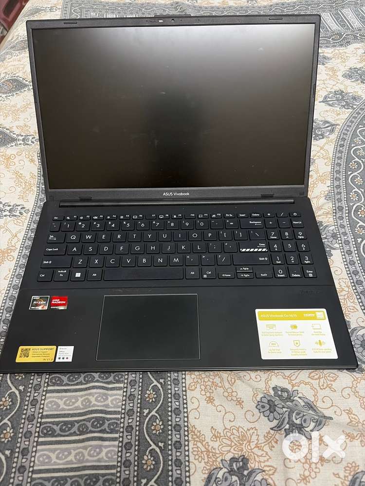 Asus VivoBook Go 15