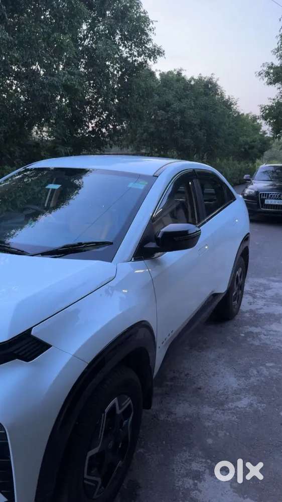 Tata Curvv Plus Petrol 2024