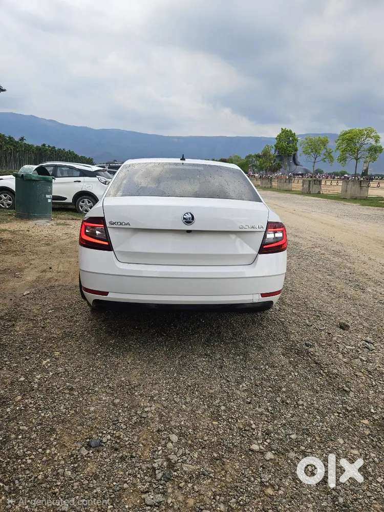 Skoda Octavia 2.0 Tdi 2020