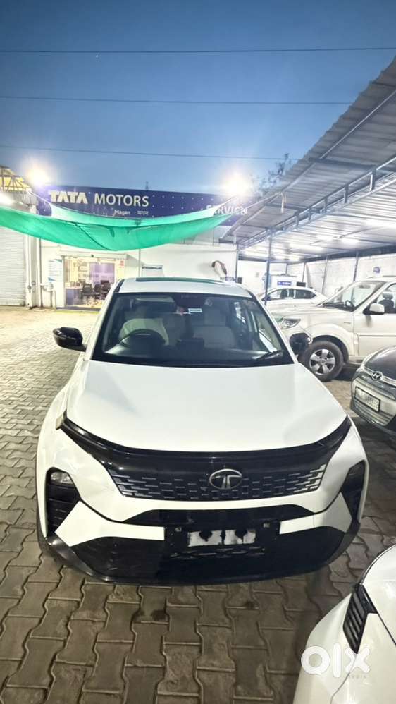 Tata Curvv Petrol 2024