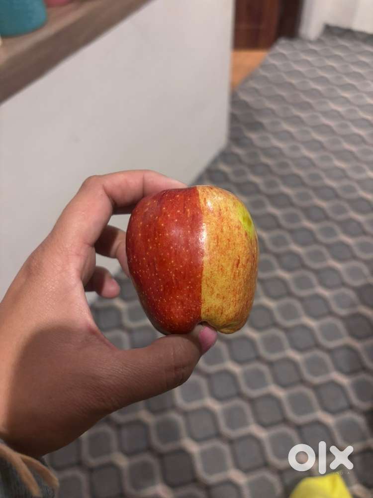 Chimera apple