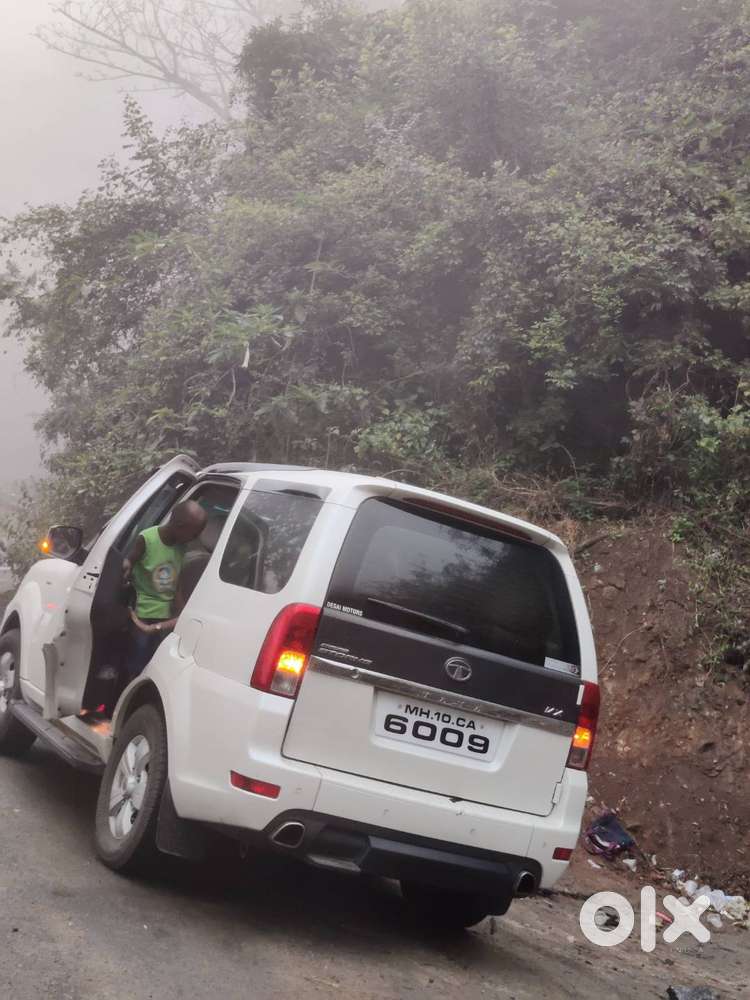 Safari Strome Vericor