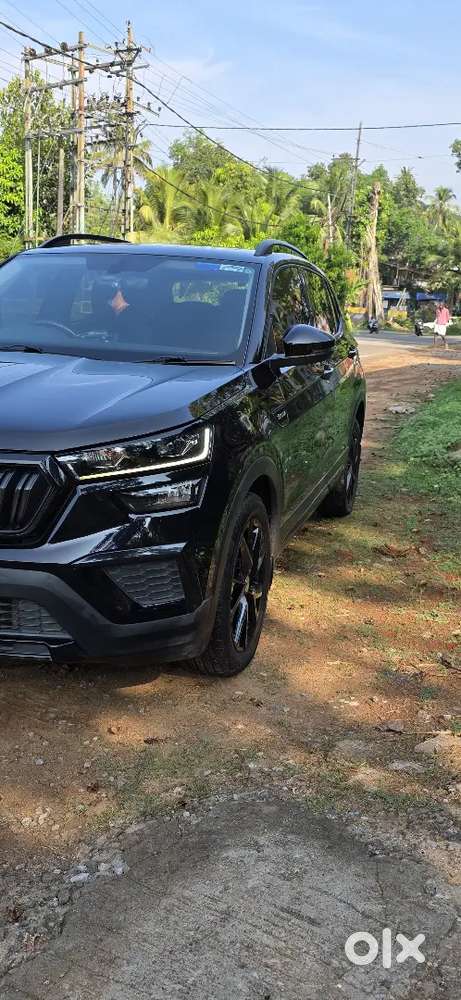 Skoda Kushaq 2025 Petrol Well Maintained