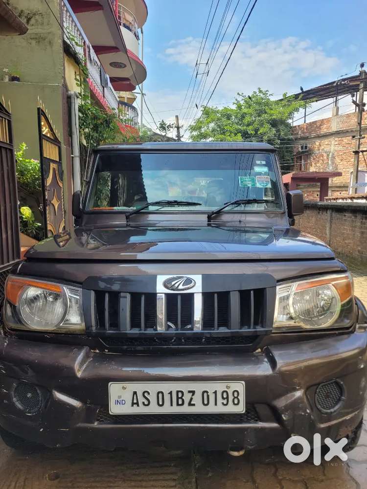 Rugged Looking Bolero Premium Color