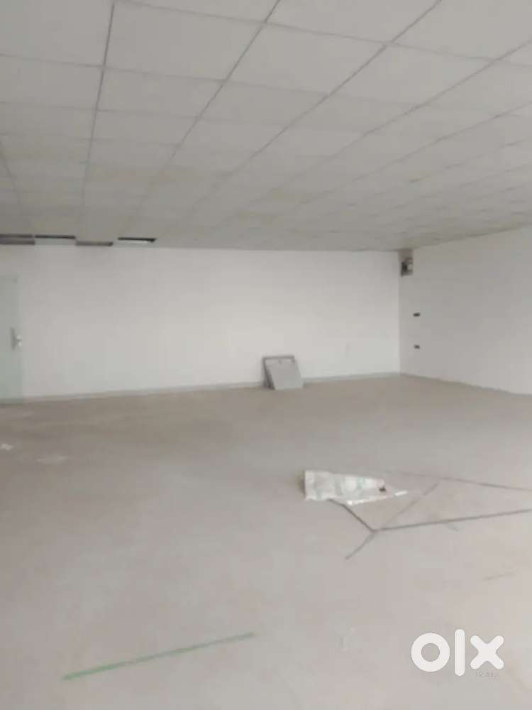 Rent for 850sqt commercial hall 10no. Market main road arera colony