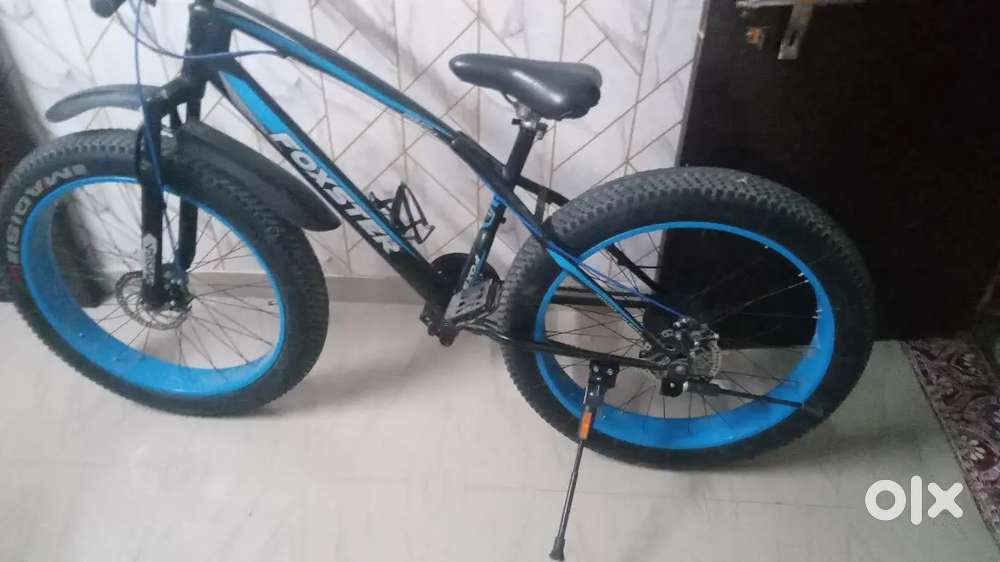 Best fat bike