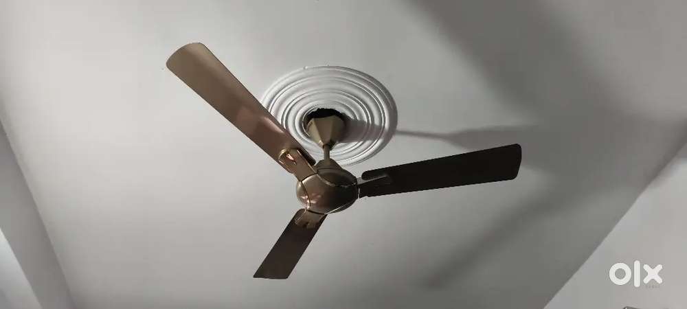 Ceiling fan
