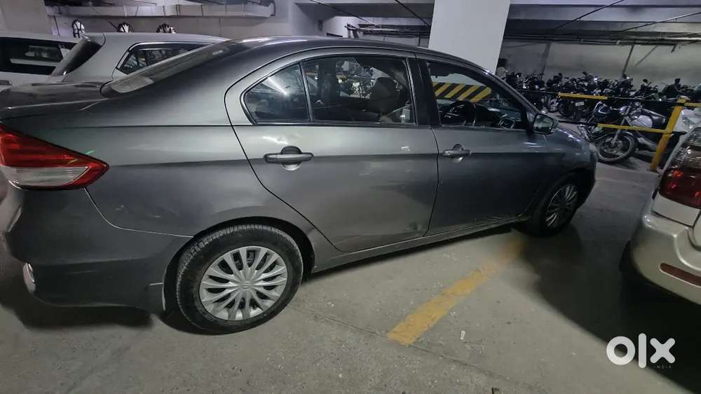 Maruti Suzuki Ciaz 2017 Diesel Car