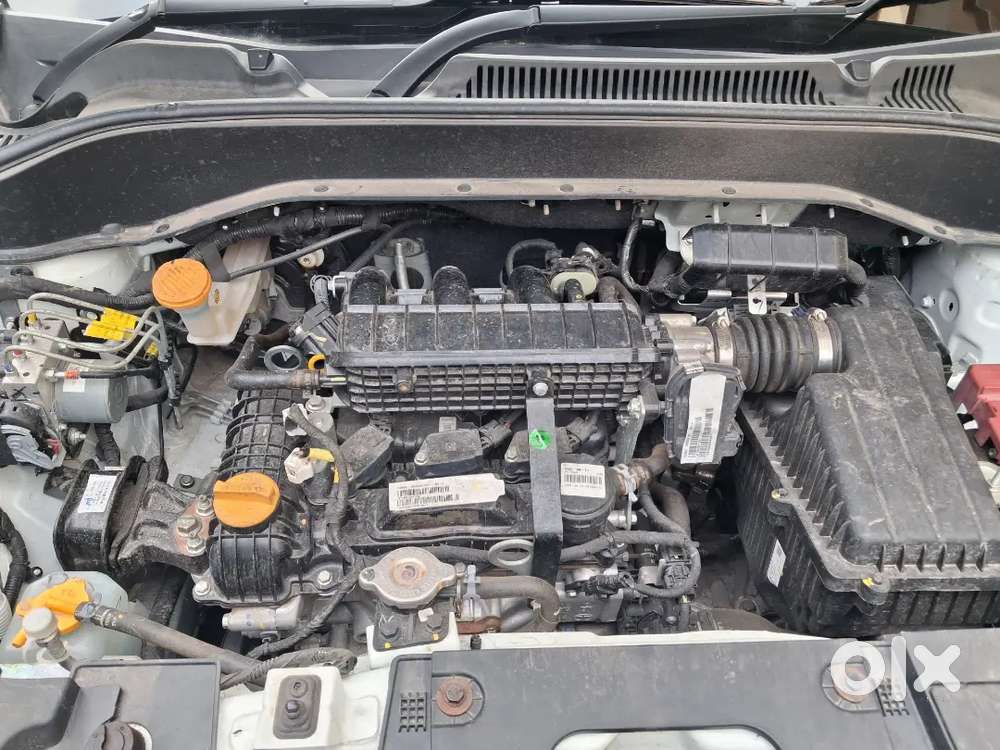 Tata Punch 2023 Petrol 9975 Km Driven