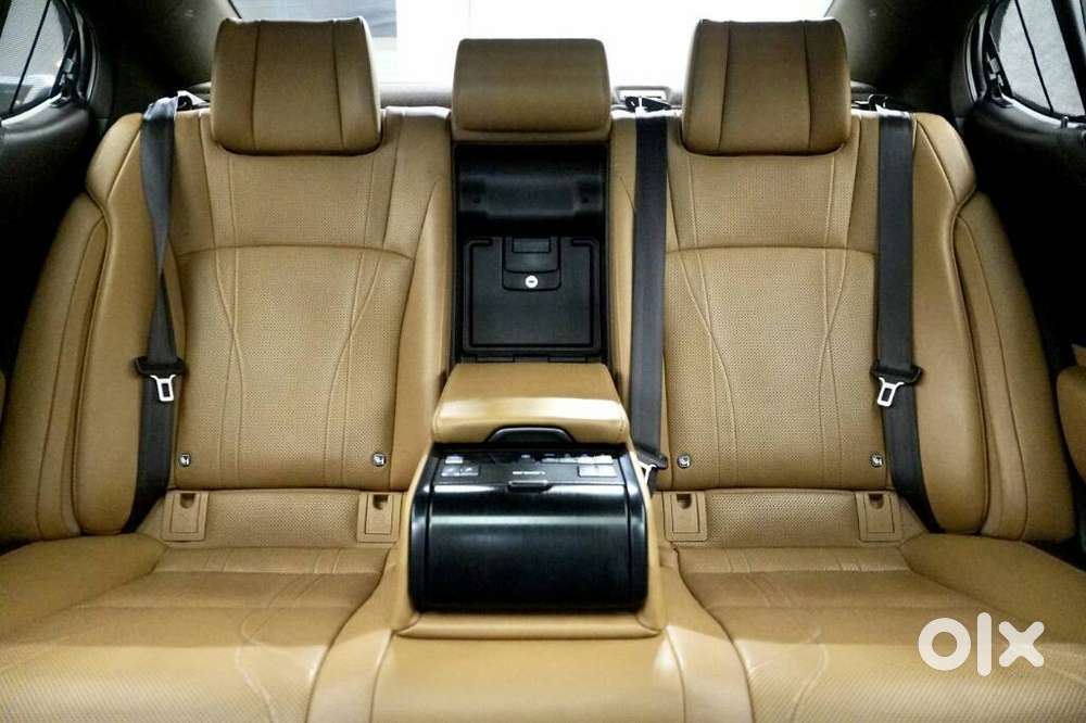 Lexus Es 300h Luxury, 2019, Petrol