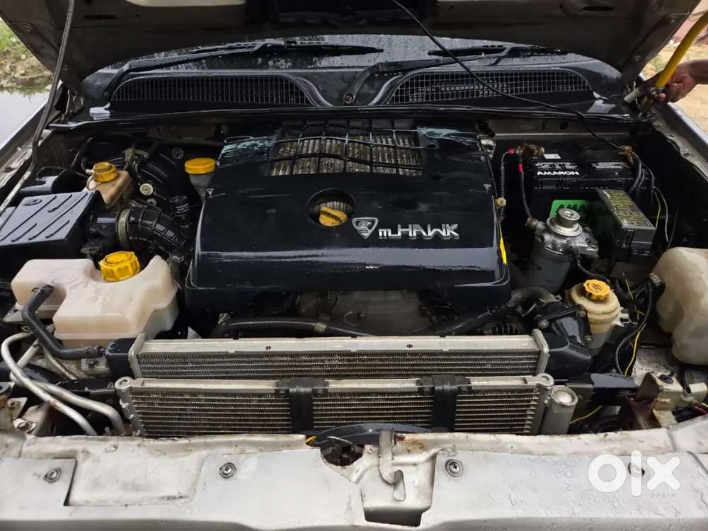 Full Condition