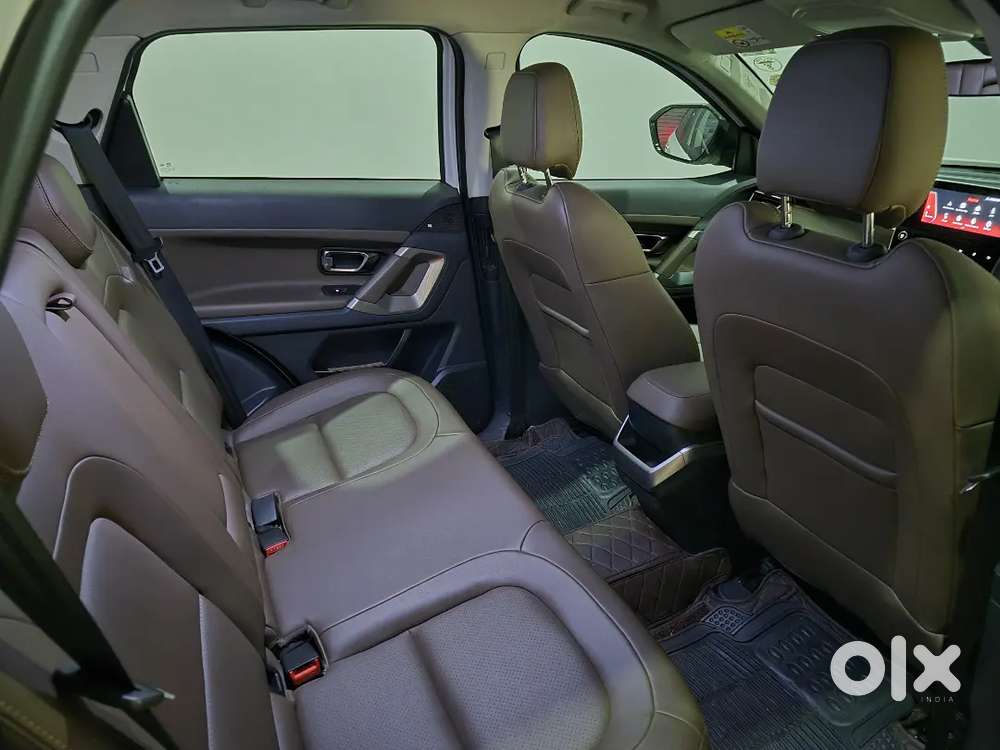 Doctor's  Harrier 2020