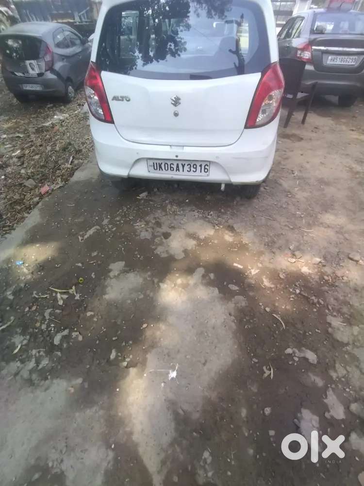 Maruti Suzuki Alto 800 2020 Car