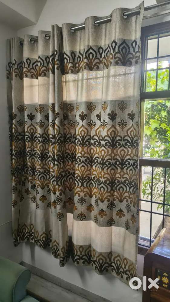 Window Curtains