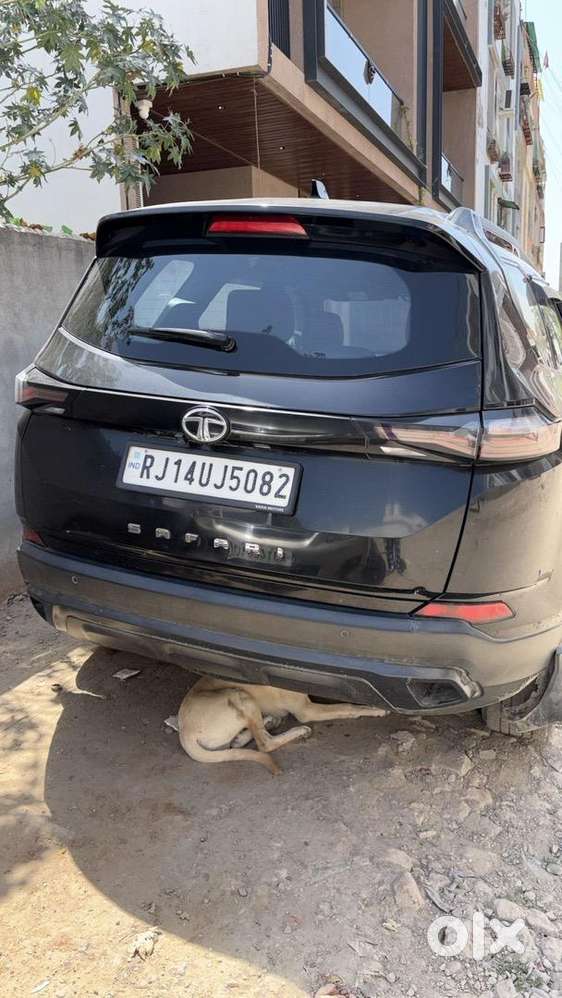 Tata Safari 2023 Diesel 42000 Km Driven