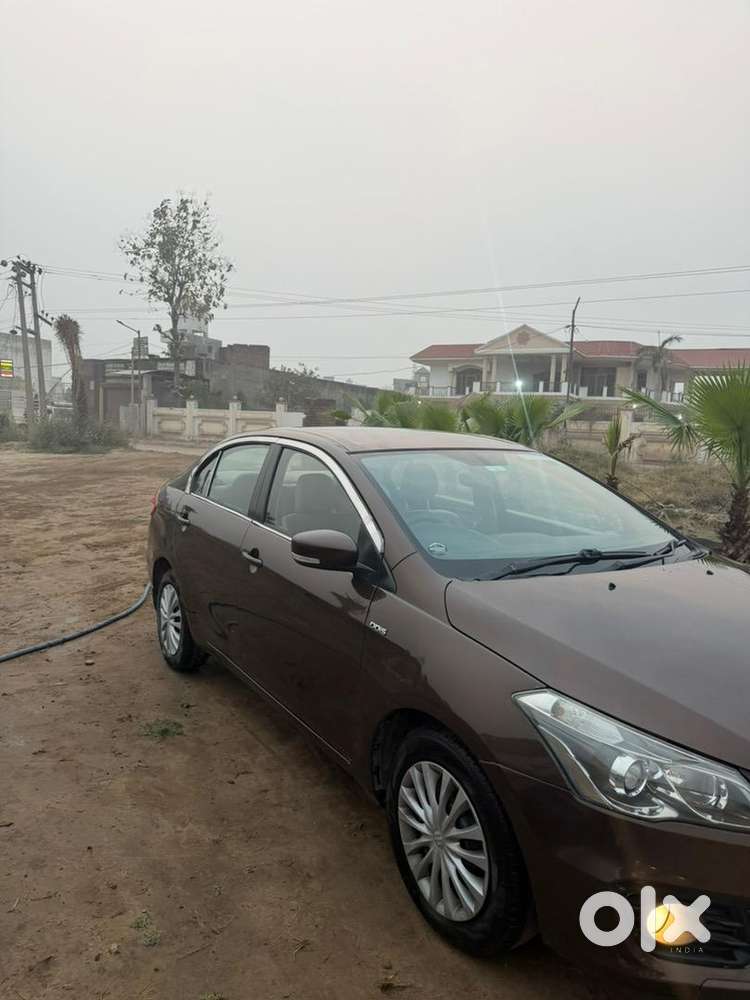 Maruti Suzuki Diesel 2016