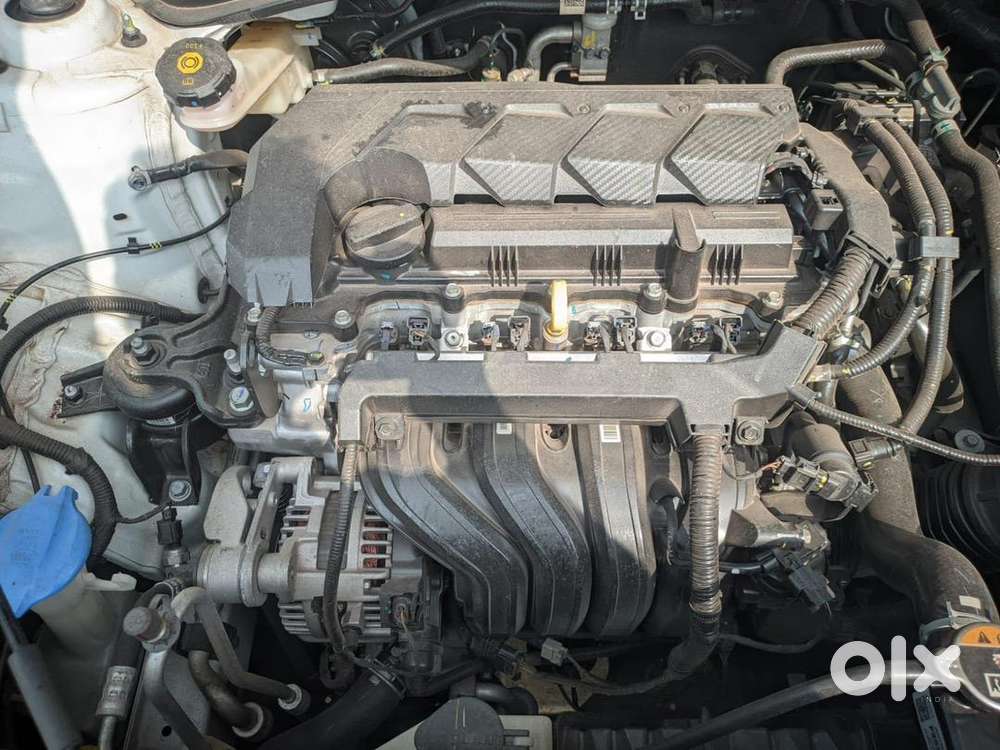 Kia Seltos 2024 Petrol Well Maintained