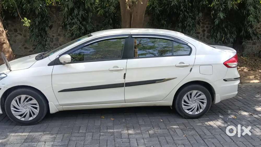 Maruti Suzuki Ciaz 202