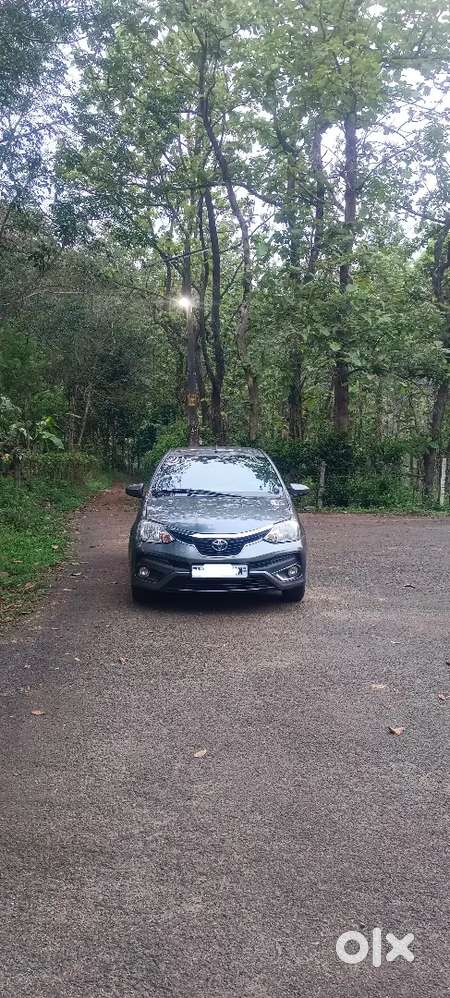 Toyota Etios Diesel Manual 2014