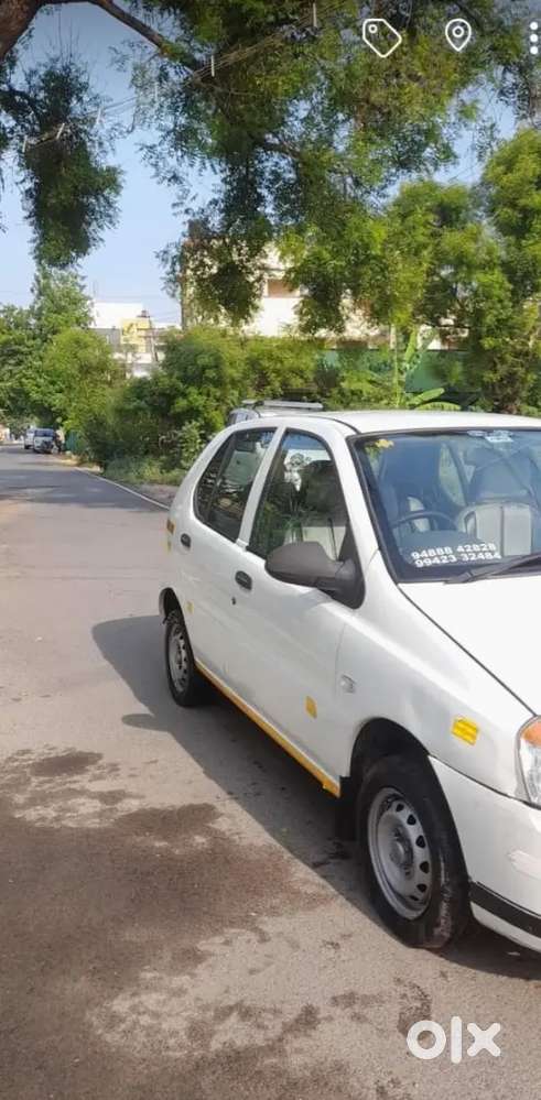 Indica Well Maintained