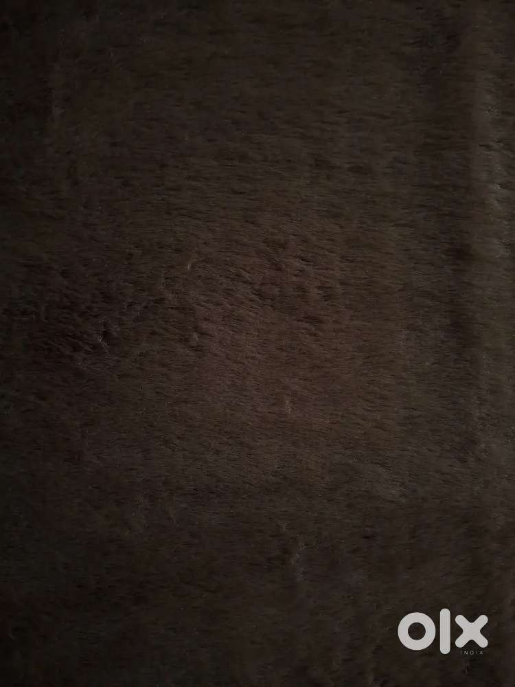Brand New Carpet