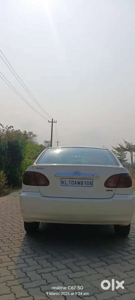 The Best Toyota Corolla 2003 Petrol