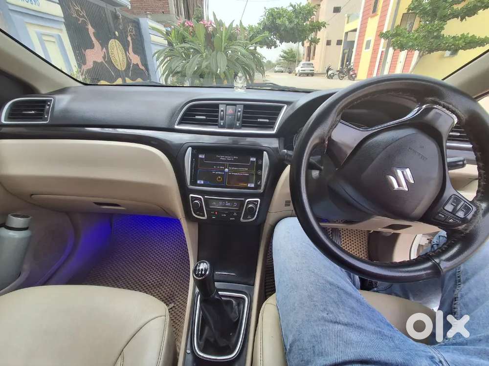 Maruti Ciaz For Sale