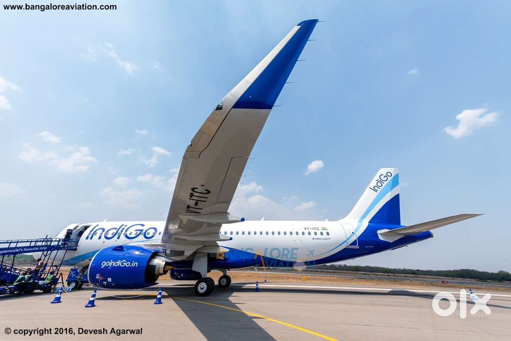Now We Are Hiring For Ground Staff Jobs In IndiGo Airlines