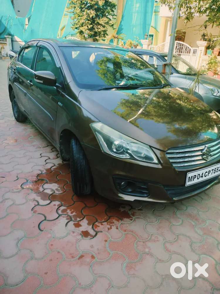 Ciaz 2015 Petrol Vxi+ Non Accidented Bank Officers