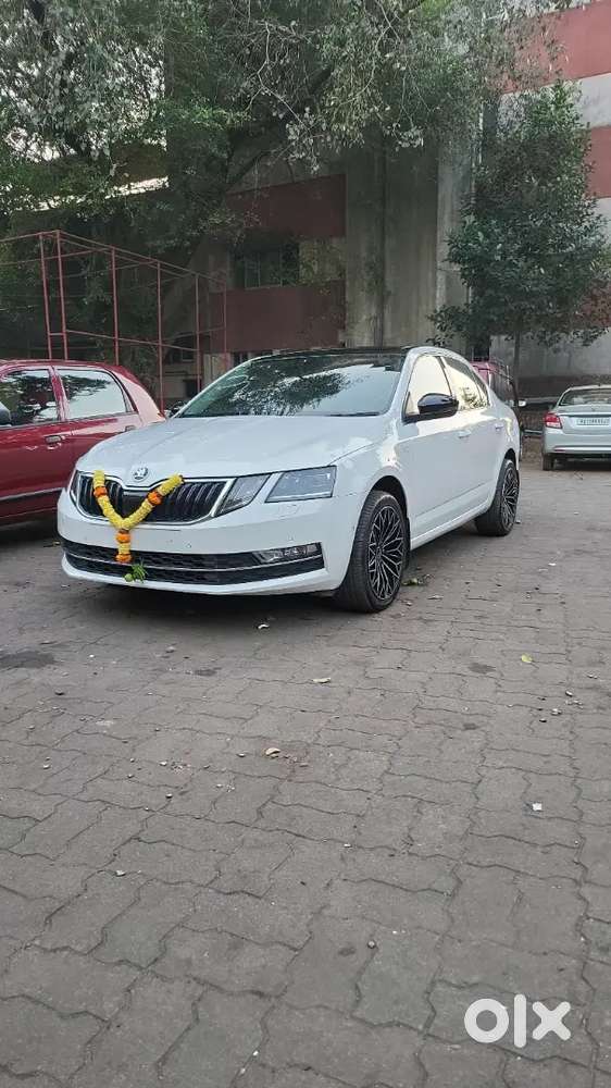 Skoda Octavia 2019 Diesel Well Maintained