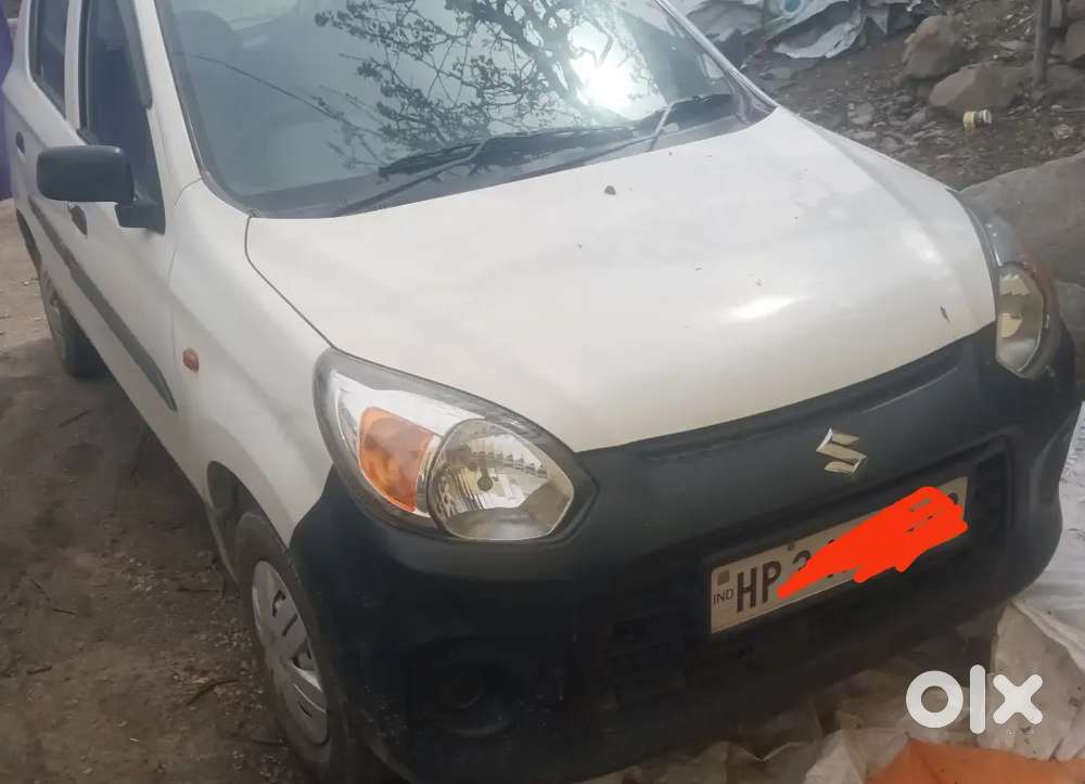 Maruti Suzuki Alto 800 2019 Mint Condition