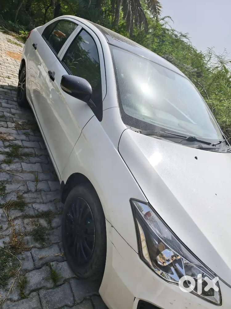 Maruti Suzuki Ciaz 2017 Car