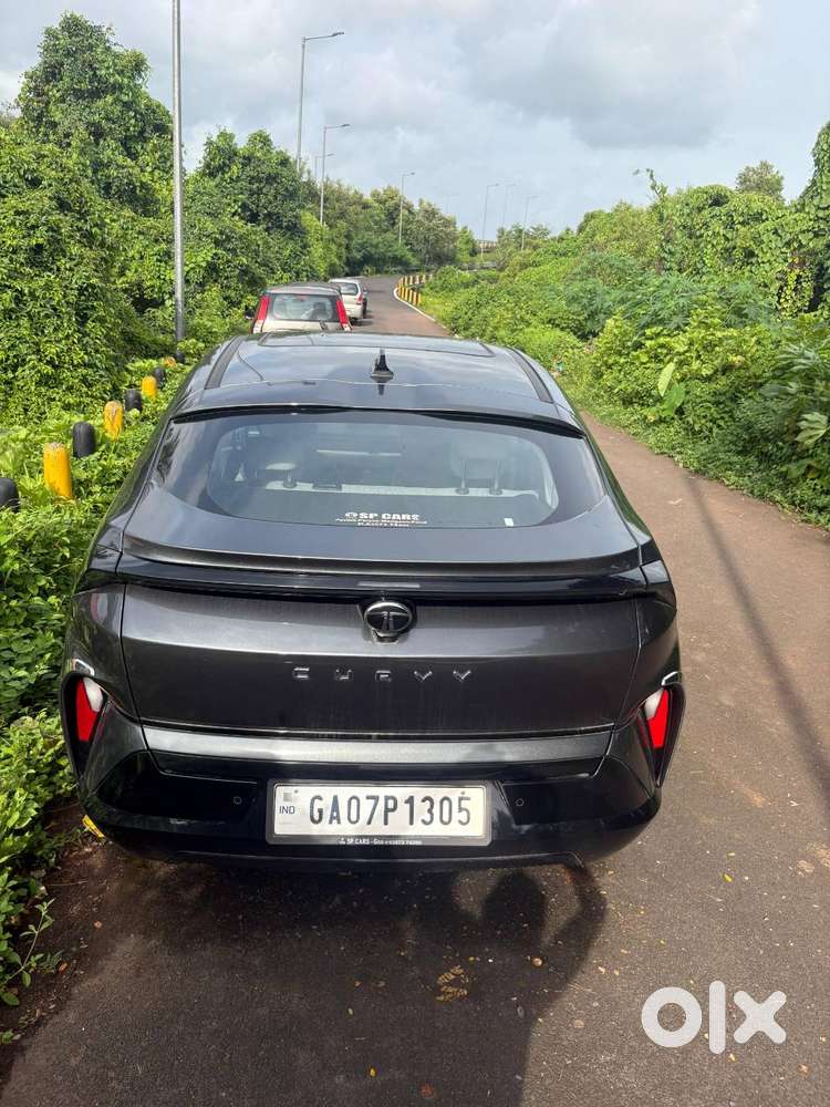Tata Curvv 2024 Year Car