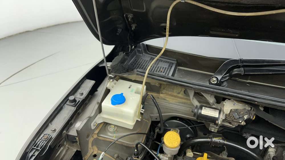 Renault Kwid 2019-ongoing 1.0 Climber Amt, 2017, Petrol