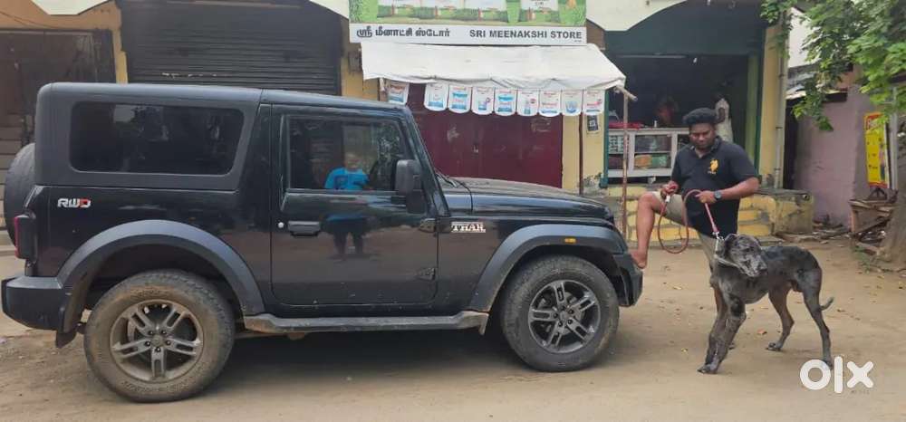 Mahindra Thar Diesel 2024