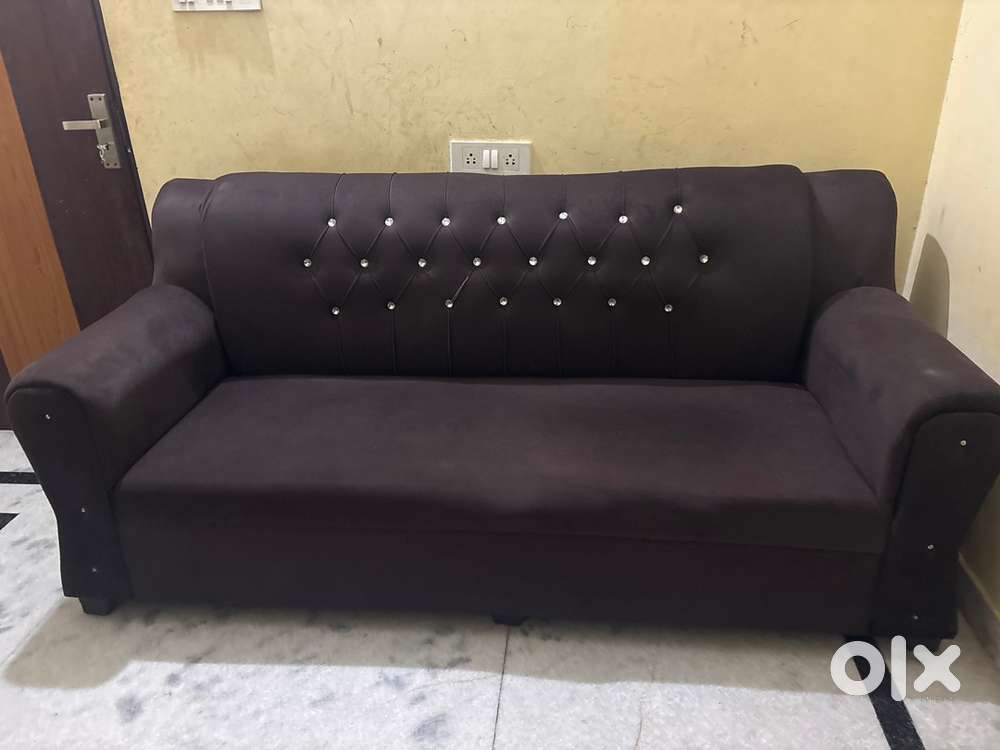 5 months old sofa