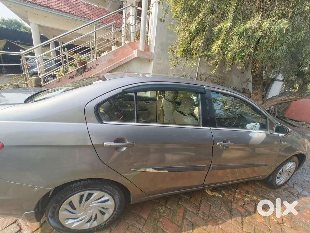 Maruti Suzuki Diesel 2019