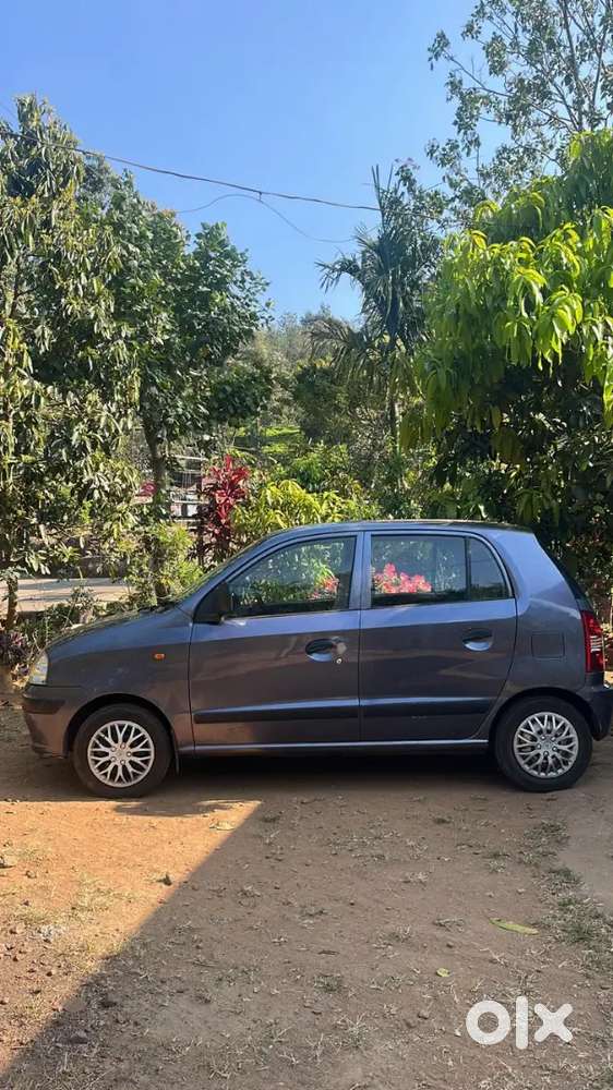 Hyundai Santro Xing 2010 Car