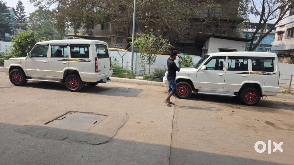 Sale For Sumo Gold 4 Nos