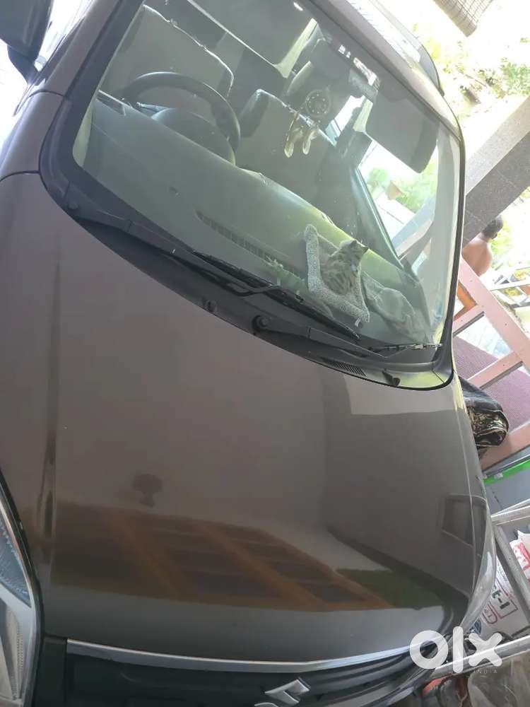 2018 Maruti Suzuki Wagon R