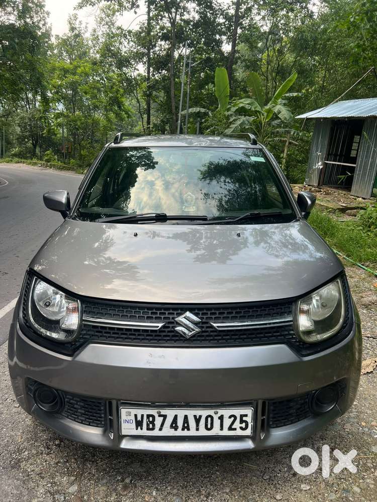 Maruti Suzuki Ignis 1.2 Alpha Mt, 2019, Petrol