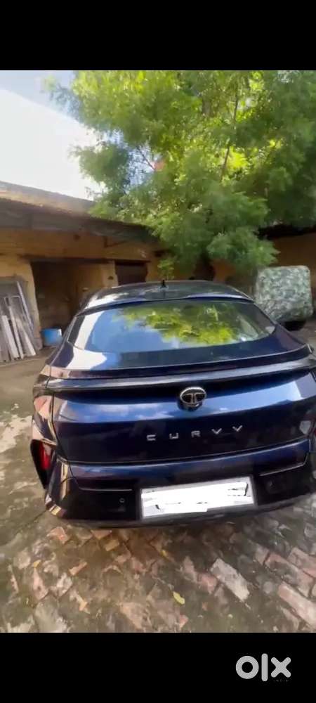 Tata Curvv 1.2 Petrol 2024