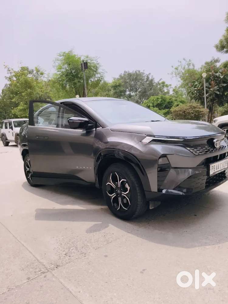 Tata Curvv Petrol Manual 2024