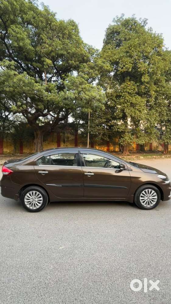 Maruti Suzuki Ciaz 2018-2020 Zeta 1.5 Shvs Mt, 2019, Petrol