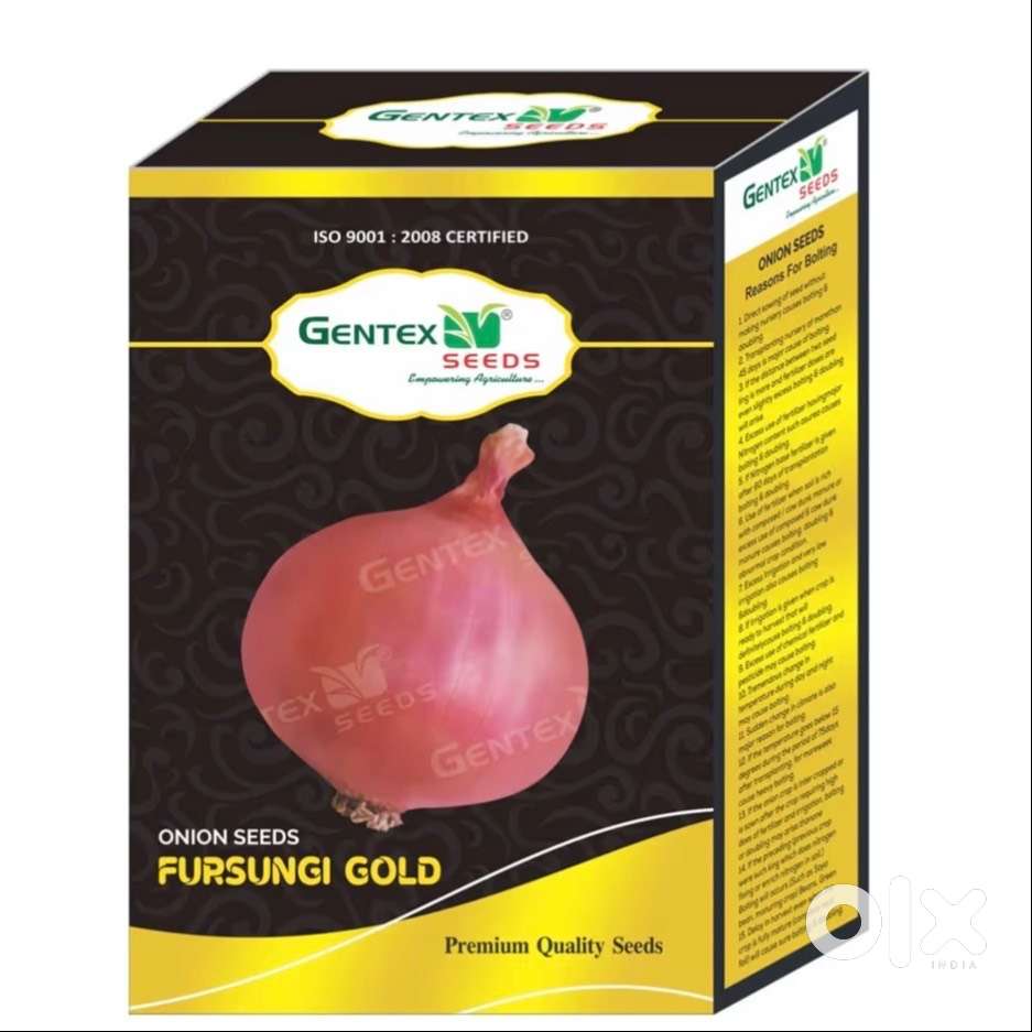 Onion seed