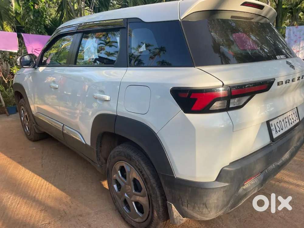 Maruti Suzuki Brezza 2024 Petrol 17100 Km Driven